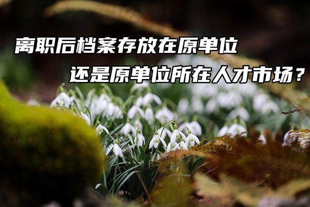 离职后档案存放在原单位还是原单位所在人才市场？