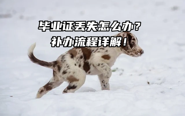 毕业证丢失怎么办？补办流程详解！