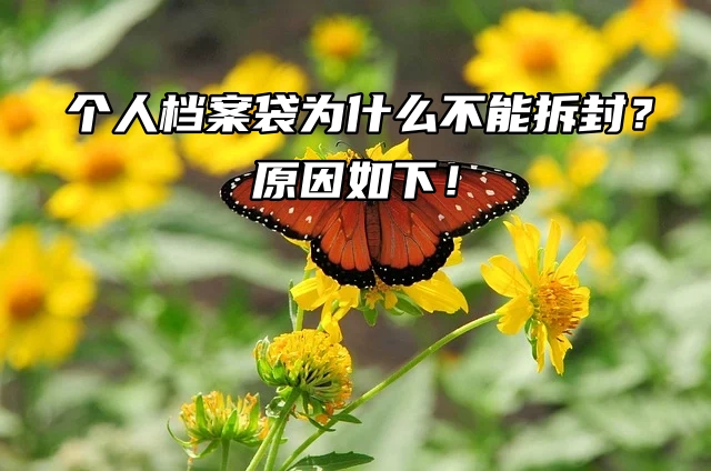 个人档案袋为什么不能拆封？ 原因如下！