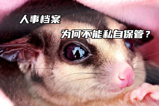 人事档案，为何不能私自保管？