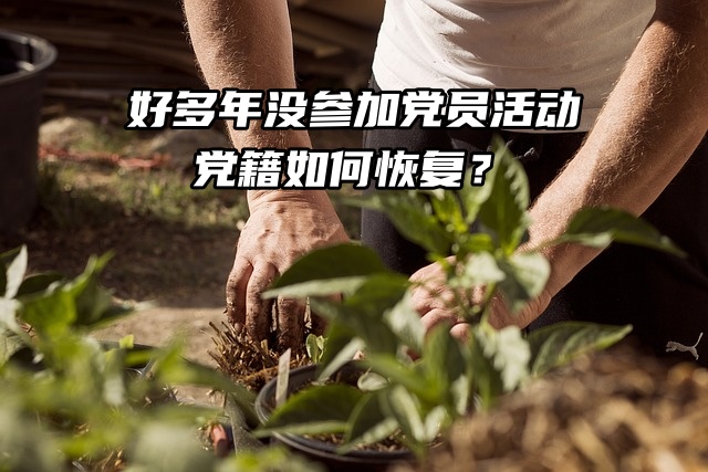 好多年没参加党员活动，党籍如何恢复？