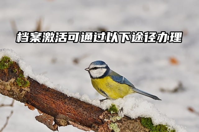 档案激活可通过以下途径办理，赶紧来看！