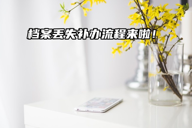 档案丢失？别担心，补办流程来啦！