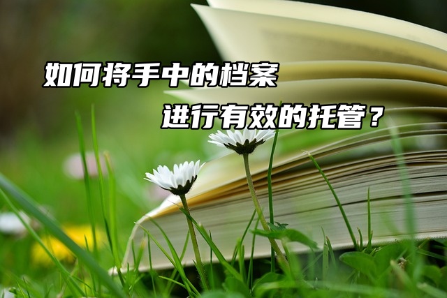 如何将手中的档案进行有效的托管？