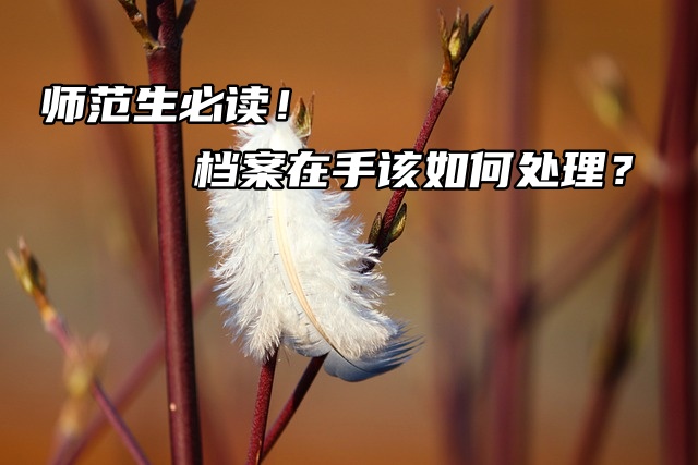 师范生必读！档案在手该如何处理？