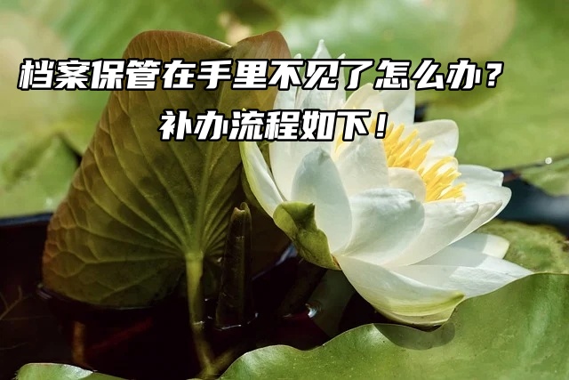 档案保管在手里不见了怎么办？补办流程如下！