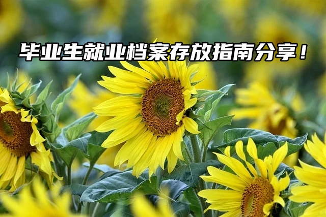 毕业生就业档案存放指南分享！