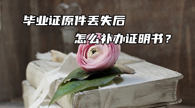 毕业证原件丢失后怎么补办证明书？