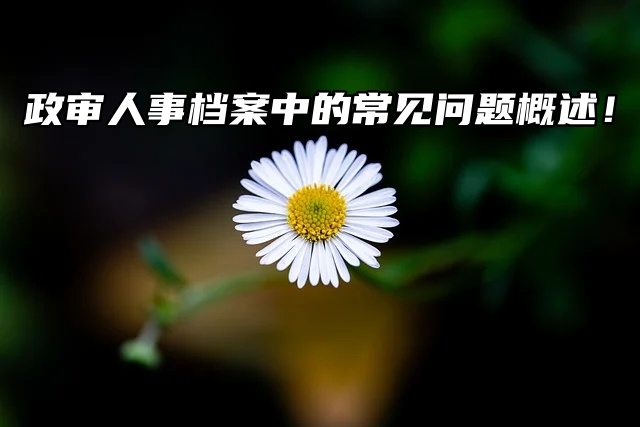政审人事档案中的常见问题概述！