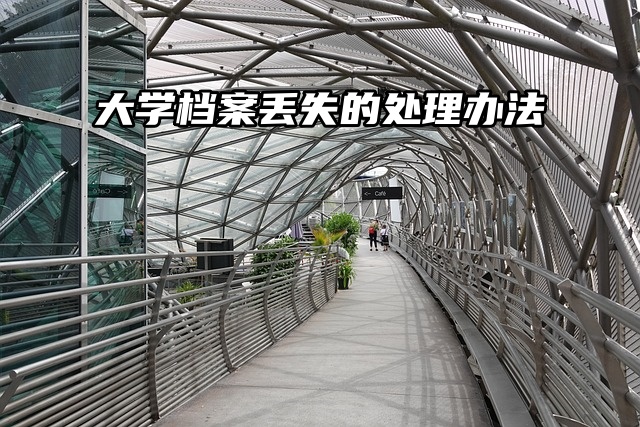 档案补办流程来了！大学档案丢失的处理办法这里讲的很仔细！