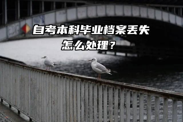自考本科毕业档案丢失怎么处理？一起看看吧！