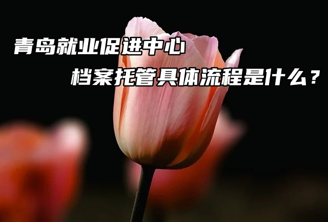 青岛就业促进中心的档案托管具体流程是什么？