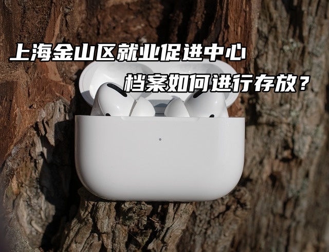 上海金山区就业促进中心档案如何进行存放？