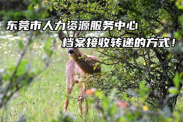 东莞市人力资源服务中心档案接收转递的方式！