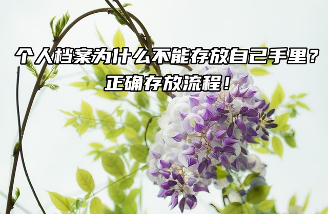 个人档案为什么不能存放自己手里？正确存放流程！