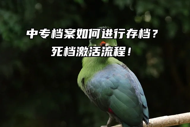 成都中专档案如何进行存档？死档激活流程！