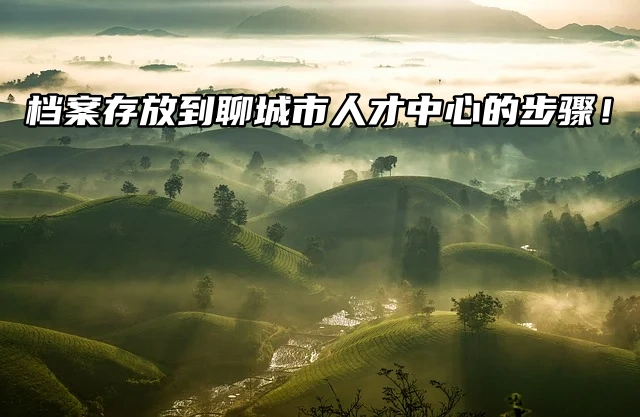 个人档案存放到聊城市人才中心的步骤！