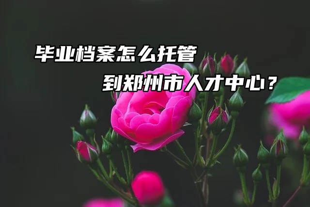 毕业档案怎么托管到郑州市人才中心？