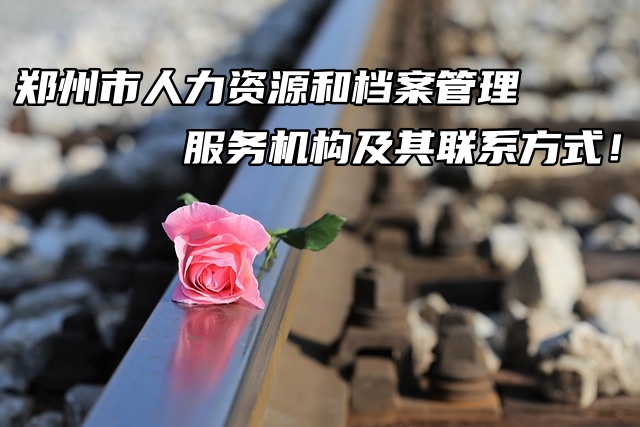 郑州市人力资源和档案管理服务机构及其联系方式！