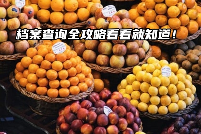 档案查询全攻略：轻松定位你的重要资料