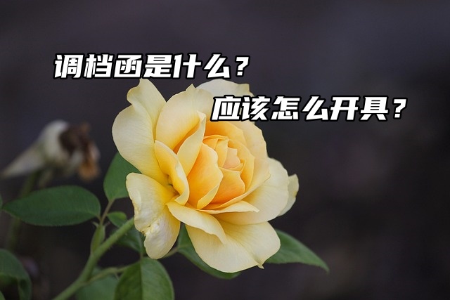 调档函是什么？应该怎么开具？