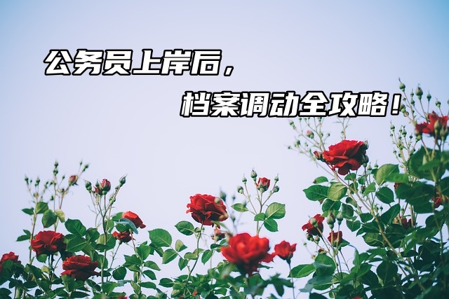 公务员上岸后，档案调动全攻略！