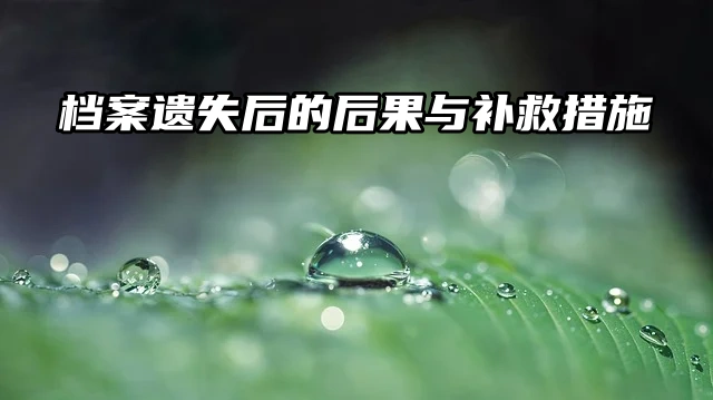 档案之重：遗失后的后果与补救措施来了！