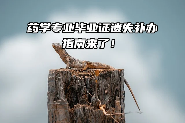 毕业证遗失补办指南来了！一看就知道！