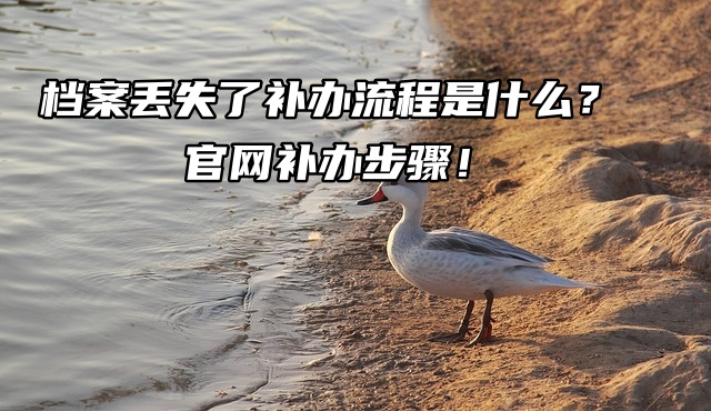 档案丢失了补办流程是什么？官网补办步骤！