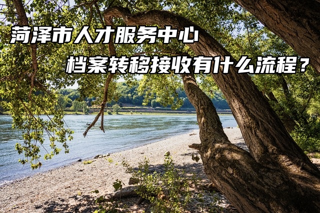 菏泽市人才服务中心档案转移接收有什么流程？