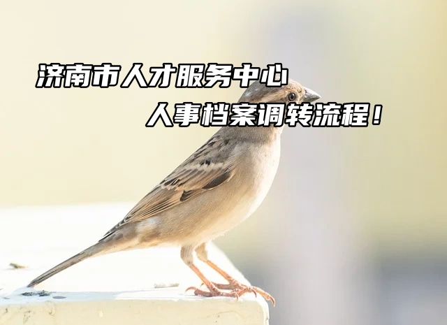 济南市人才服务中心人事档案调转流程！