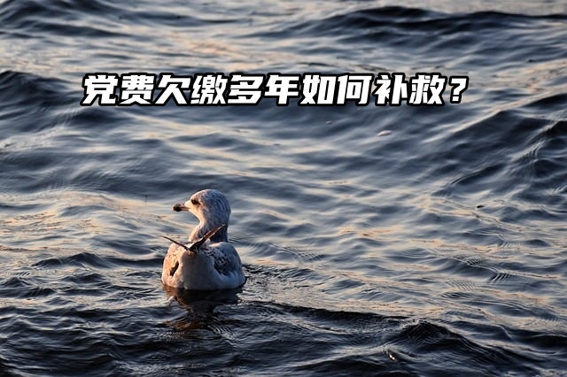 党费欠缴多年？别怕，这样处理让你轻松回归组织怀抱！