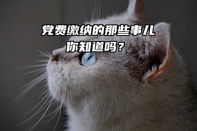 党费缴纳的那些事儿，你知道吗？