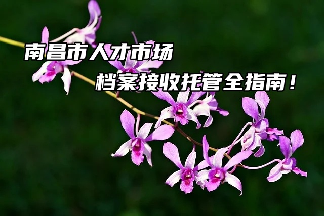 南昌市人才市场档案接收托管全指南！