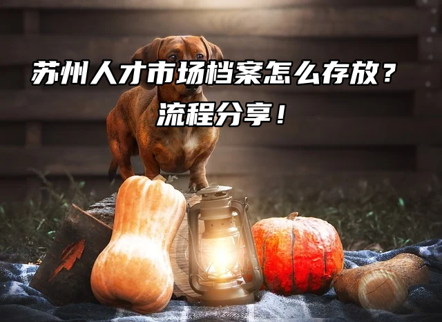 苏州人才市场档案怎么存放？流程分享！