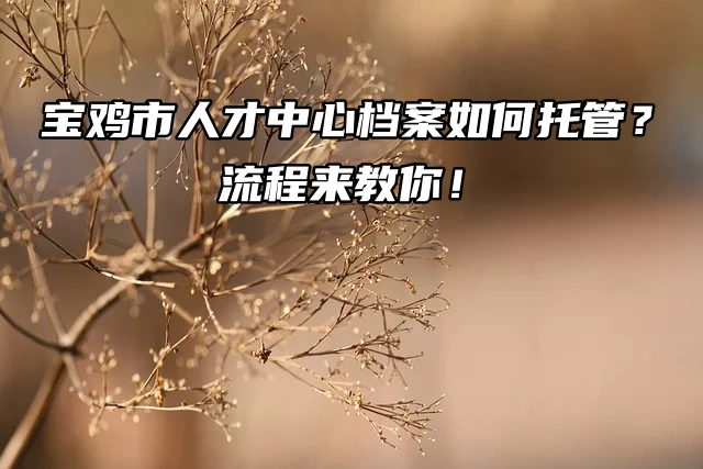 宝鸡市人才中心档案如何托管？流程来教你！