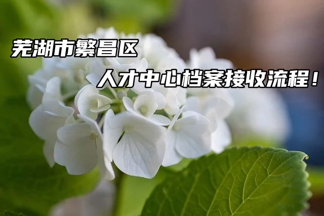 芜湖市繁昌区人才中心档案接收流程！