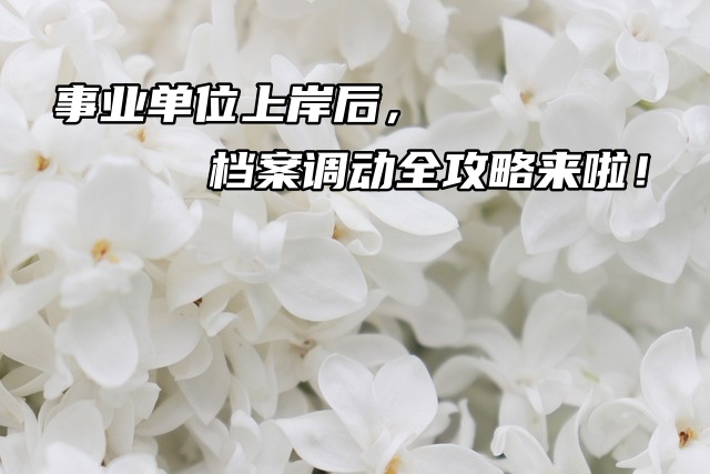 研究生入学攻略：档案调动全解析！