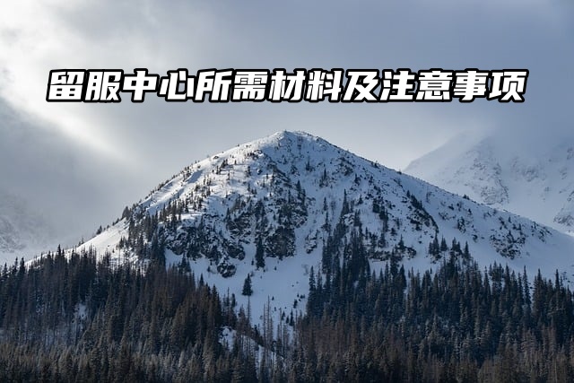 出国留学档案存储：留服中心所需材料及注意事项速看！