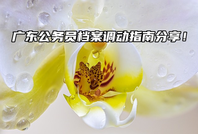广东公务员档案调动指南分享！