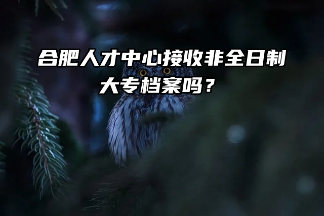 合肥人才中心接收非全日制大专档案吗？