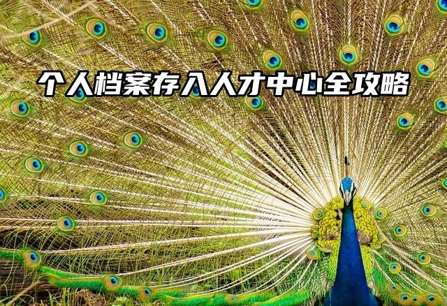 个人档案存入人才中心全攻略：材料清单详解必看！