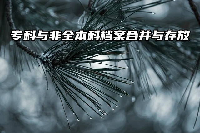专科与非全本科档案：合并与存放的正确方法速速来看！