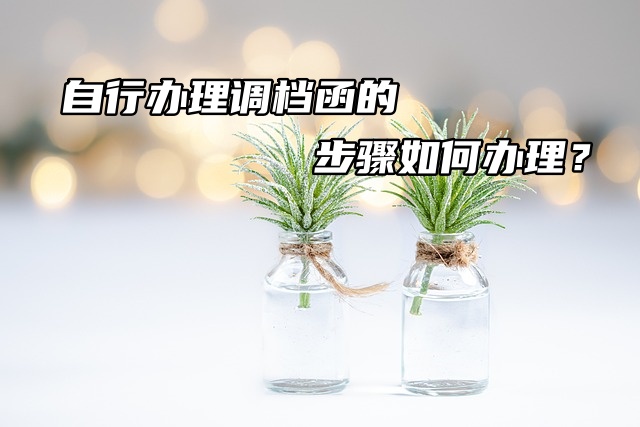 自行办理调档函的步骤如何办理？
