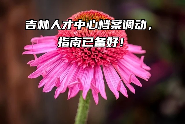 吉林人才中心档案调动，指南已备好！