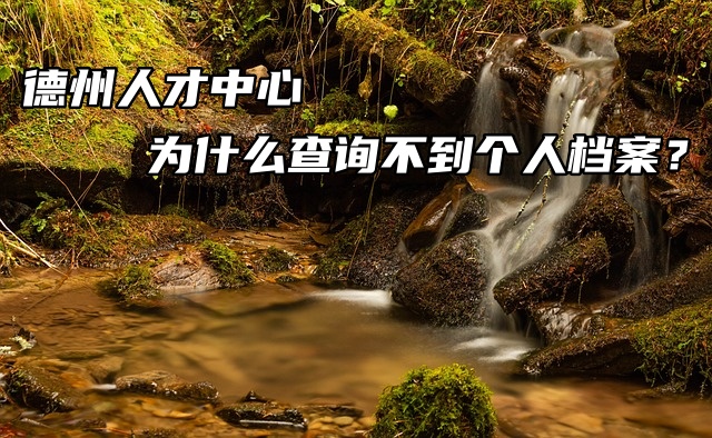 德州人才中心为什么查询不到个人档案？
