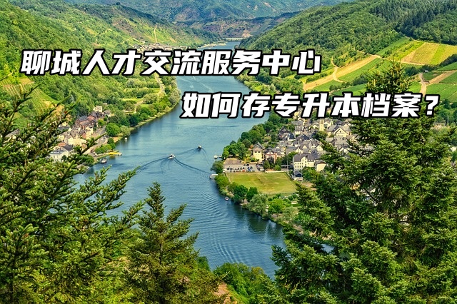 聊城人才交流服务中心如何存专升本档案？