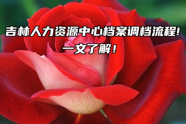 吉林人力资源中心档案调档流程！一文了解！