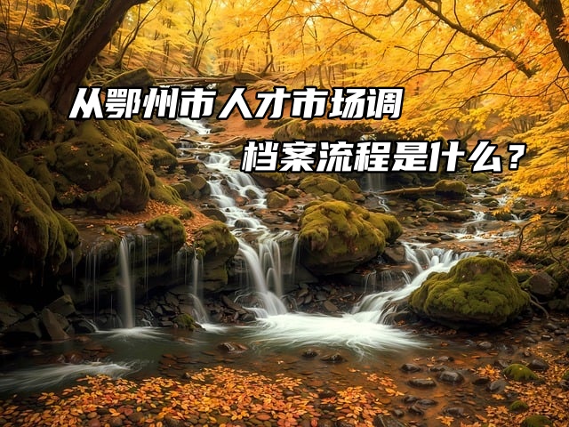 从鄂州市人才市场调档案流程是什么？