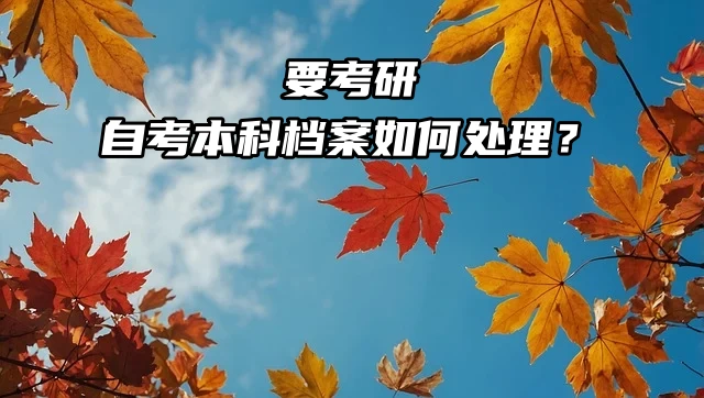 要考研，自考本科档案如何处理？